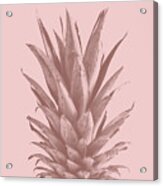 Pinapple Pink 05 Acrylic Print