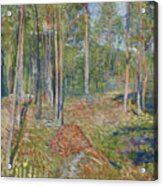 Pine Forest, 1891-1892 Acrylic Print