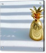 - Pineapple In Snow Acrylic Print