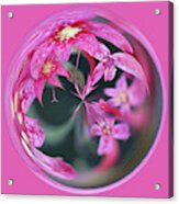 Pink Flower Orb Acrylic Print