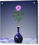Pink Perpetual Rose In Vase Acrylic Print