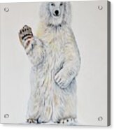 Polar Bear Baby 2 Acrylic Print