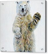 Polar Bear Baby Acrylic Print