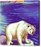 Polar Bear Acrylic Print