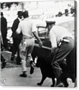 Police Officer With Dog Disperses Acrylic Print