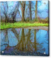 Pond Reflections, Digitally Enhanced Acrylic Print