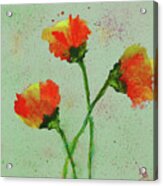 Poppies Acrylic Print