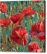 Poppy Field Acrylic Print