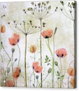 Poppy Meadow Acrylic Print