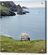 Port Donegal Acrylic Print