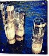 Posts In Water Acrylic Print