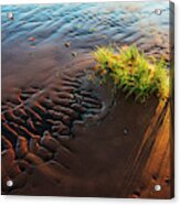 Prince Edward Island Sand Glow Acrylic Print