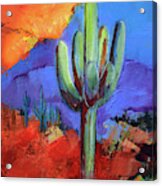Under The Sonoran Sky By Elise Palmigiani Acrylic Print