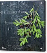 Provincial Herbs Vi Acrylic Print