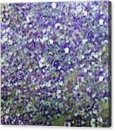 Purple And White Flowers Acrylic Print