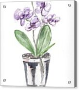 Purple Orchid Acrylic Print