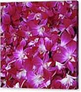 Purple Orchids For Sale At Pak Khlong Acrylic Print