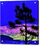 Purple Sunset Bay Acrylic Print