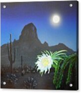 Queen Of The Night Acrylic Print