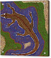 Rainforest Lizard Acrylic Print
