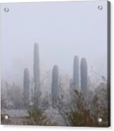 Rare Desert Fog Acrylic Print