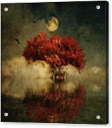Red American Oak In A Dream Acrylic Print