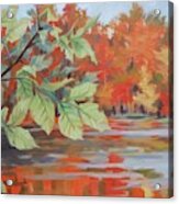 Red Autumn Acrylic Print