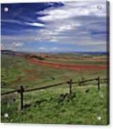 Red Canyon Wyoming Acrylic Print