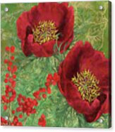 Red Christmas Roses Acrylic Print