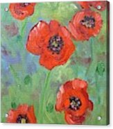 Red Poppies Acrylic Print