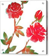 Red Rose Watercolor Transparent Background Acrylic Print
