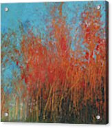 Red Trees In Autumn Acrylic Print