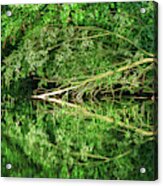 Reflection In The Spreewald Acrylic Print