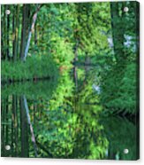 Reflection Of Trees In The Spreewald Acrylic Print
