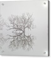 Reservoir Fog 2 Acrylic Print