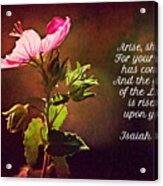 Rock Rose Lighted And Scripture Acrylic Print