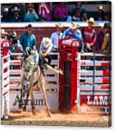 Rodeo Action Acrylic Print