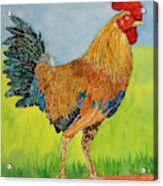 Rooster In Charge Acrylic Print