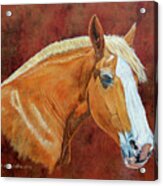 Roxanne Draft Horse Acrylic Print