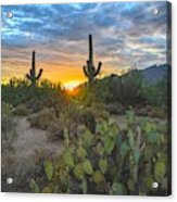 Sabino Canyon And Mount Kimball Sunset, Tucson, Az Acrylic Print