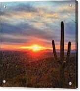 Saguaro Cactus And Tucson At Sunset Acrylic Print