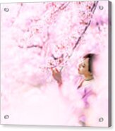 Sakura Acrylic Print