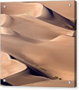 Sand Dunes Acrylic Print