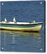 Sea Gull Boat Acrylic Print