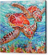 Sea Turtles On Coral Reef Acrylic Print