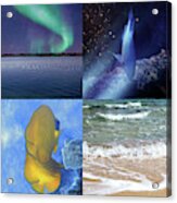 Sealife And Seashore Tall Collage Acrylic Print