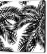 Seamless Color Palm Leaves Pattern Acrylic Print