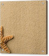 Seashell - Starfish On Beach Acrylic Print