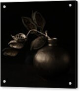 Seed Pods, Their Echoes Acrylic Print