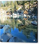 Sekani At Secret Cove Acrylic Print